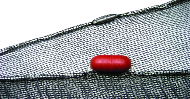 Picture of Promar 4'X12' Minnow Seine 1/4" Mesh