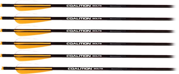 Picture of Pse Archery Xbow Arrow Coalition 20" Carbon 6Pack