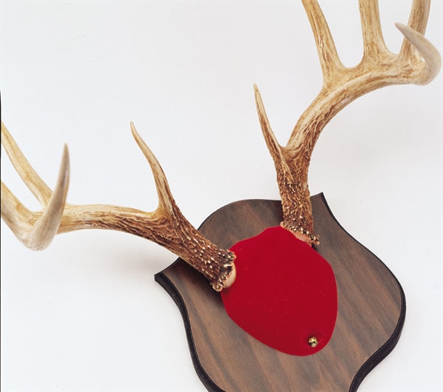 Picture of Quaker Boy Boy Horn Mount Kit