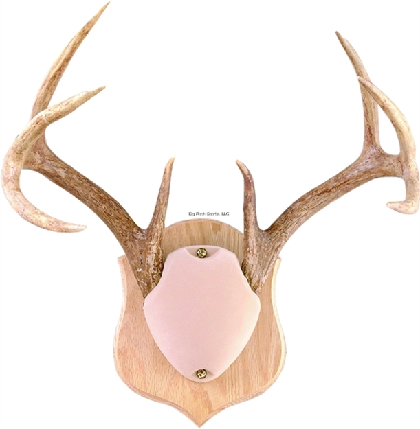 Picture of Quaker Boy Deluxe Horn Mount Kit, Tan Shroud, Solid Oak Backboard W/Hanger Kit