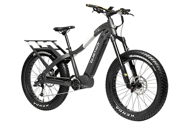 Picture of  QUIET APEXPR 10 APP-10-GUN-17 GUNMTL 1000W 17IN