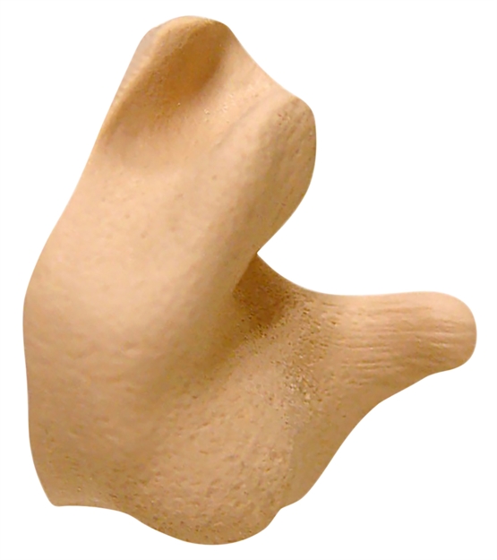 Picture of Radians Cep002t Custom Molded Earplugs Silicone 26 DB IN The Ear Tan Adult CEP002-T 674326231761