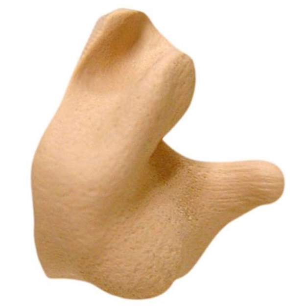 Picture of Radians Custom Molded Ear Plg Tan