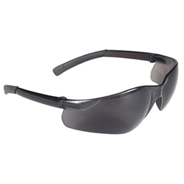 Picture of Radians Hunter Glasses Smoke
