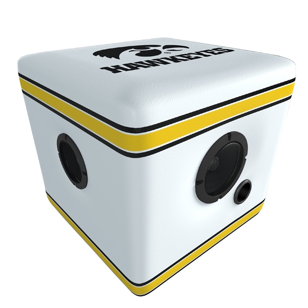 Picture of Rainmaker Iowa Hawkeyes Bluetooth Speaker Ottoman-White/Blk
