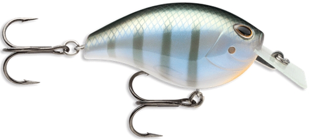 Picture of Rapala Arashi Ratl Sqr 1/2 Bluegill