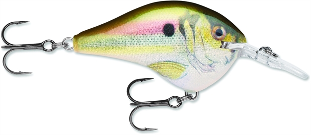 Picture of Rapala Dives-To 06 Crankbait, 2", 3/8 Oz, Live River Shad, Floating