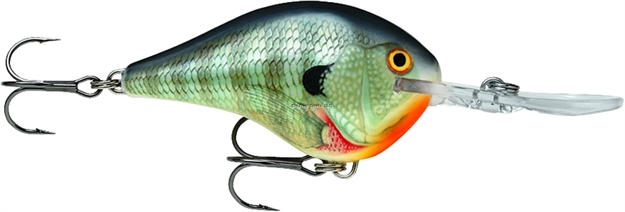 Picture of Rapala Dives-To 10 Crankbait, 2 1/4", 3/5 Oz, Bluegill, Floating