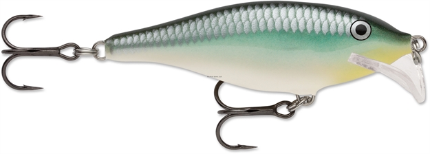 Picture of Rapala Scatter Rap Shad Crankbait, 2 3/4", 1/4 Oz, Blue Back Herring, Floating