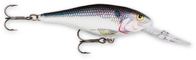 Picture of Rapala Shad Rap Crankbait, 1 1/2", 1/8 Oz, Shad, Floating