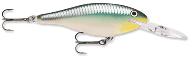 Picture of Rapala Shad Rap Crankbait, 2 3/4", 5/16 Oz, Blue Back Herring, Floating