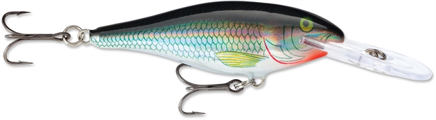 Picture of Rapala Shad Rap Crankbait, 2 3/4", 5/16 Oz, Holographic Shiner, Floating