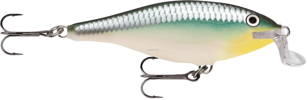 Picture of Rapala Shallow Shad Rap Crankbait, 2", 3/16 Oz, Blue Back Herring, Floating
