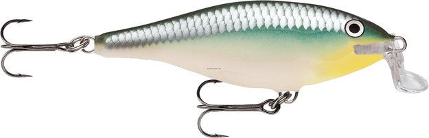 Picture of Rapala Shallow Shad Rap Crankbait, 2 3/4", 1/4 Oz, Blue Back Herring, Floating
