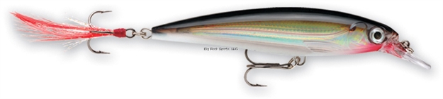 Picture of Rapala X-Rap Jerkbait, 1 1/2", 1/16 Oz, Silver, Suspending