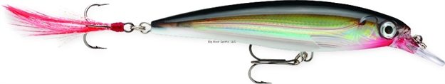 Picture of Rapala X-Rap Jerkbait, 2 1/2", 1/8 Oz, Silver, Suspending