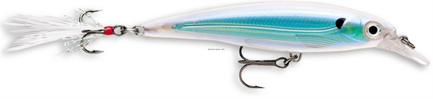 Picture of Rapala X-Rap Jerkbait, 3 1/8", 1/4 Oz, Albino Shiner, Suspending