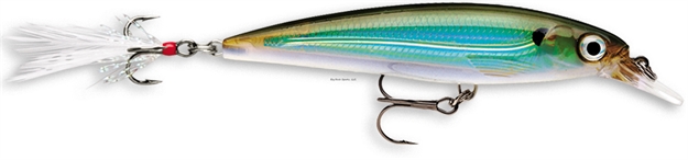 Picture of Rapala X-Rap Jerkbait, 3 1/8", 1/4 Oz, Moss Back Shiner, Suspending
