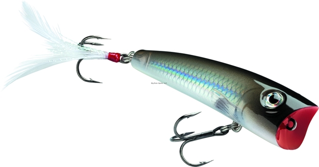 Picture of Rapala X-Rap Pop Topwater Lure, 2 3/4", 3/8 Oz, Pearl Grey Shiner, Floating