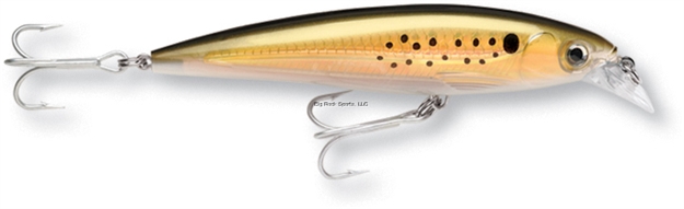 Picture of Rapala X-Rap Saltwater 8, Slashbait, 3 1/8", 1/4 Oz, Bunker, Suspending