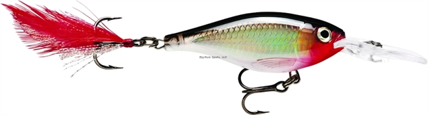 Picture of Rapala X-Rap Shad, 2 1/2", 5/16 Oz, Silver, Suspending