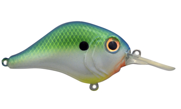 Picture of Rat-L-Trap Lures Mr-6 2.25"-1/2Oz Citrus Shad