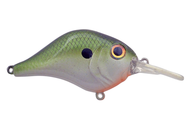Picture of Rat-L-Trap Lures Mr-6 2.25"-1/2Oz Tenn Shad