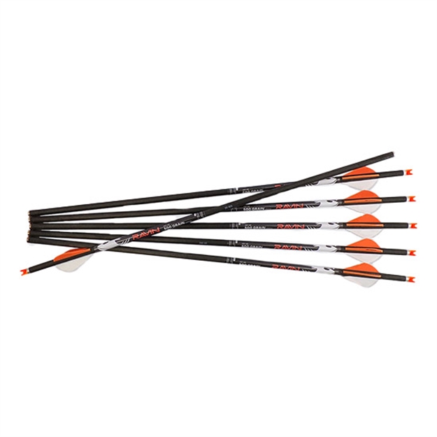 Picture of Ravin Arrows 500Gr HD 6Pk .001 R149