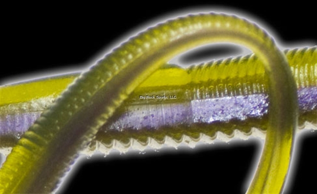 Picture of Reaction The Flirt Finesse Worm, 4.95", Spanish Fly, 15/Pack