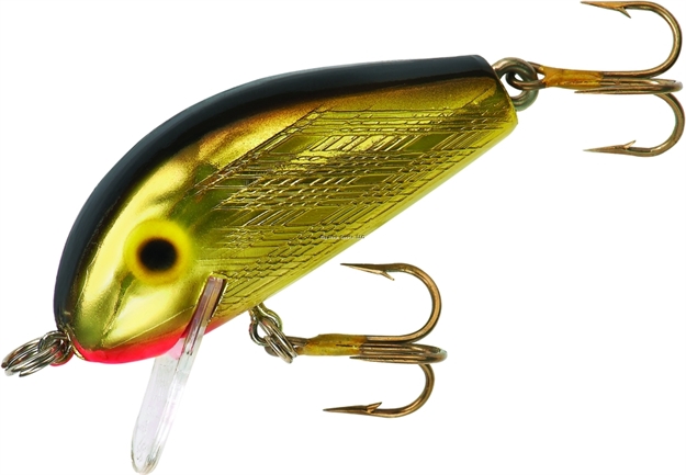 Picture of Rebel Humpback Crankbait 1/4Oz 1-3/4" Gld/Black