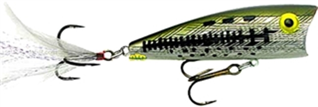 Picture of Rebel Pop-R Topwater Bait, 2 1/2", 1/4 Oz, Silver/Black, Floating P6001