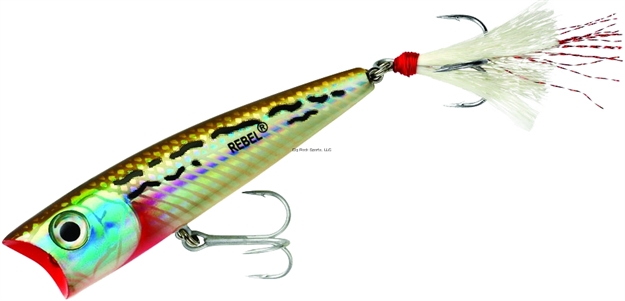 Picture of Rebel Super Pop-R Topwater Bait, 3 1/8", 5/16 Oz, Barfish