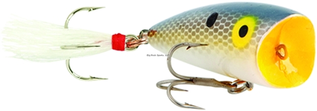 Picture of Rebel Teeny Pop-R Topwater Bait, 2", 1/8 Oz, Foxy Shad, Floating