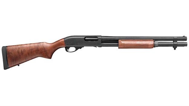 Picture of Remi SG 870P 12/18P BS WS 2Se