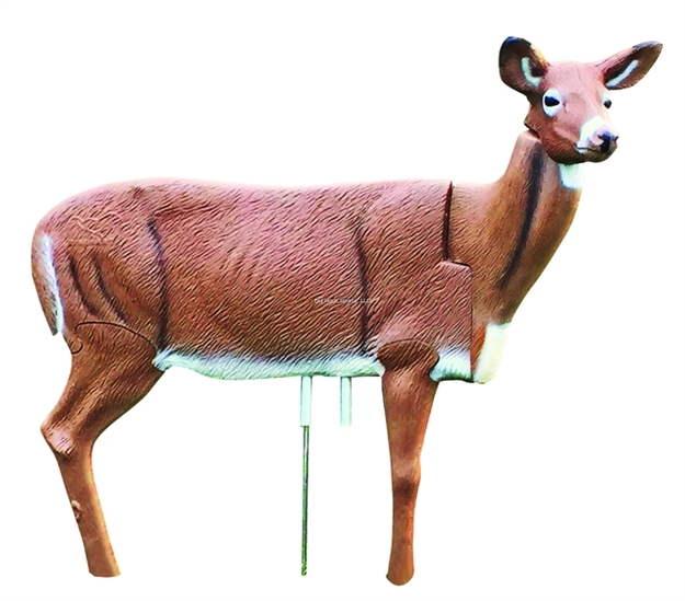 Picture of Rinehart Decoy Doloma Series Doe Deer