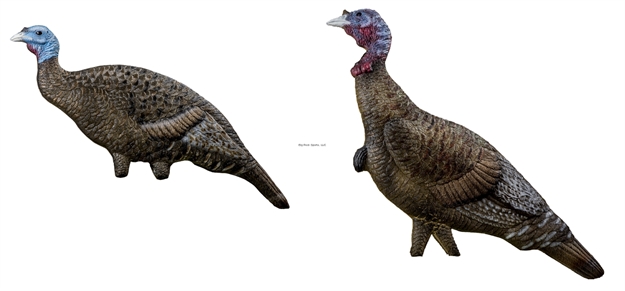 Picture of Rinehart Doloma Hen / Jake Decoy Combo