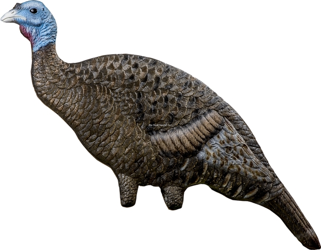 Picture of Rinehart Doloma Hen Turkey Decoy