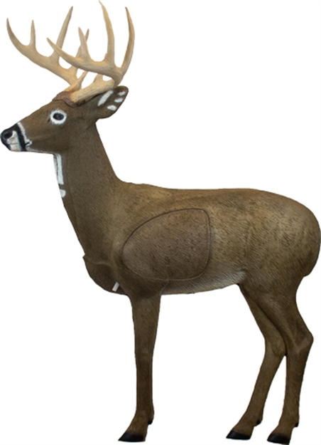 Picture of Rinehart Targets Targets Woodland Big Jim