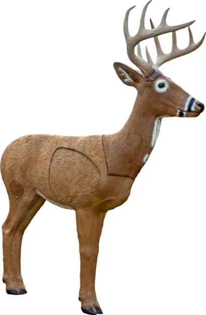 Picture of Rinehart Targets Targets Woodland Jimmy Big Tine