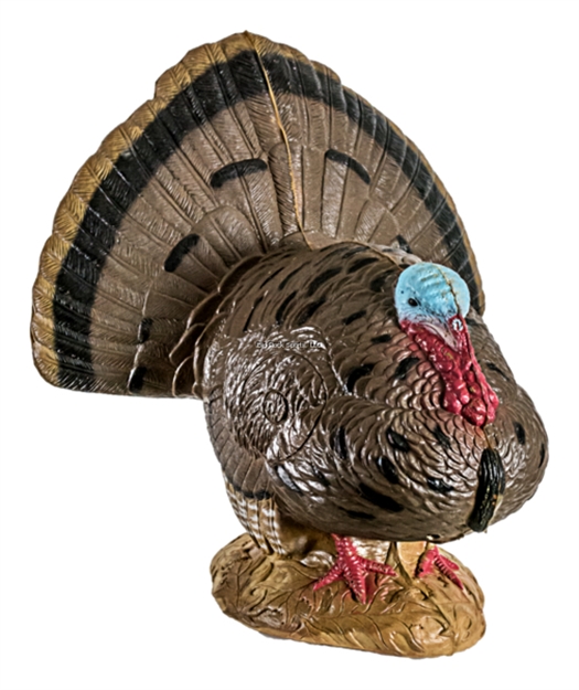 Picture of Rinehart Woodland Strutting Turkey Target