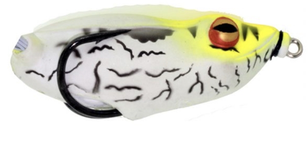 Picture of River2sea Llc IM PM Daddy RR 70 05 Rtle G IM-PMD70/05