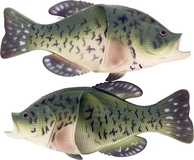 Picture of Rivers Edge Edge Crappie Sandals Adult Medium Size 10/10.5 673AM