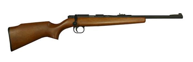 Picture of Rock Island Armory M14y .22Lr Youth Rifle