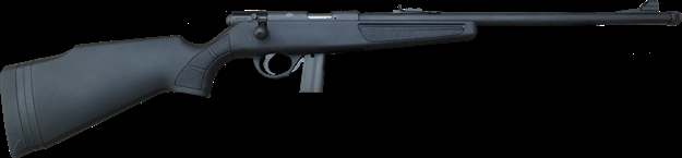 Picture of  Rock Island 51168 Yta  (Bolt Action) 22 LR 10+1 18.13" Threaded Barrel,  Parkerized Receiver, Polymer Stock With Spacers, Ramp Front & Leaf Rear Sight 4806015511687