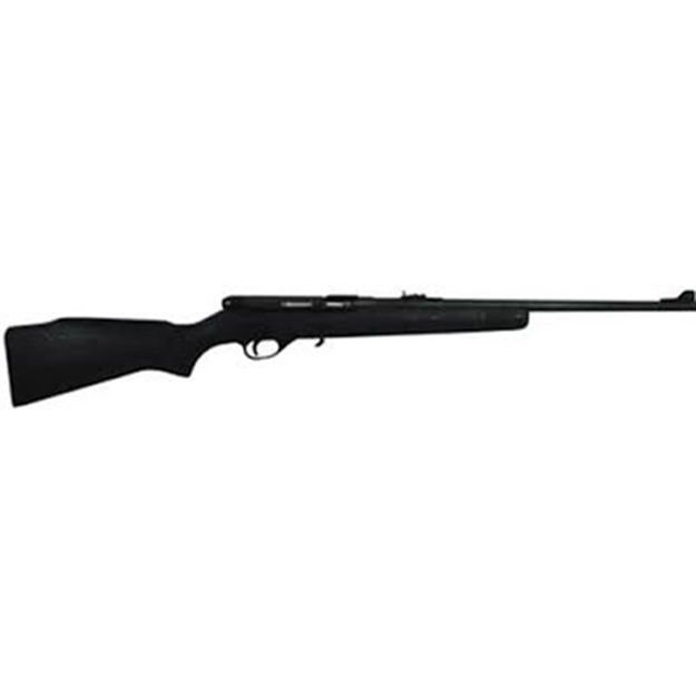 Picture of M20p 22Lr Blk/Wd 21" 10+1