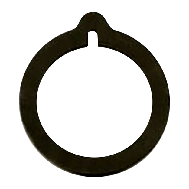 Picture of Rs75/Rs62 Plunger Ring 100050265 -