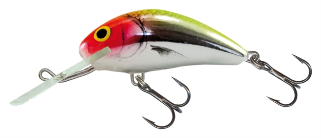 Picture of Salmo Hornet 4, 1-5/8", 1/16Oz, Floating, Clown Metallic Dace