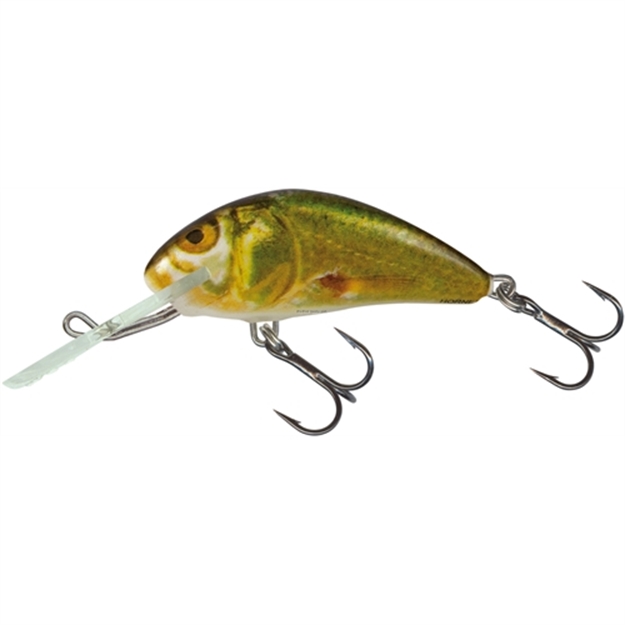 Picture of Salmo Hornet Crankbait, 1 3/4", 1/16 Oz, Gold Shiner Minnow/Red Front Hook, Floating