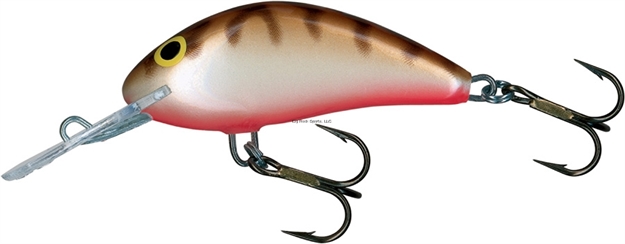 Picture of Salmo Hornet Crankbait, 2", 1/4 Oz, Crawdad, Floating