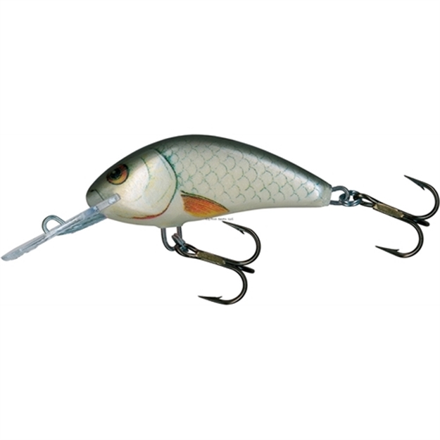 Picture of Salmo Hornet Crankbait, 2", 1/4 Oz, Dace, Floating